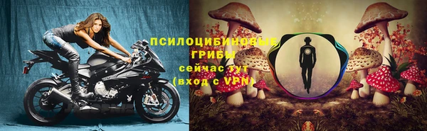 spice Абаза