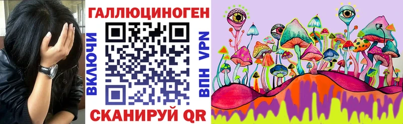 Галлюциногенные грибы мицелий  где продают наркотики  Торжок 