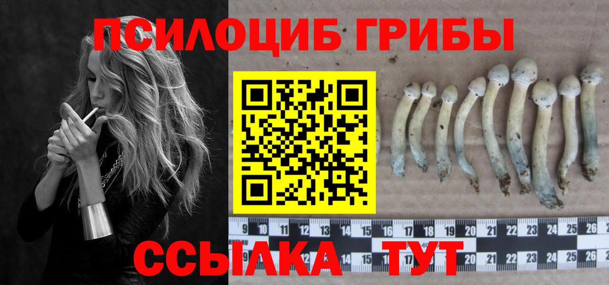 Псилоцибиновые грибы мухоморы  Вход с VPN  Торжок 