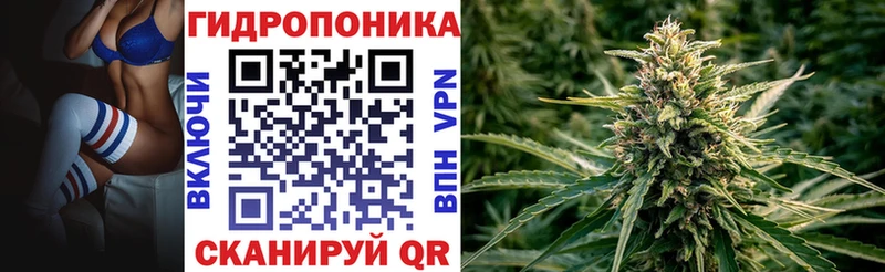 даркнет сайт  Торжок  Бошки Шишки LSD WEED 